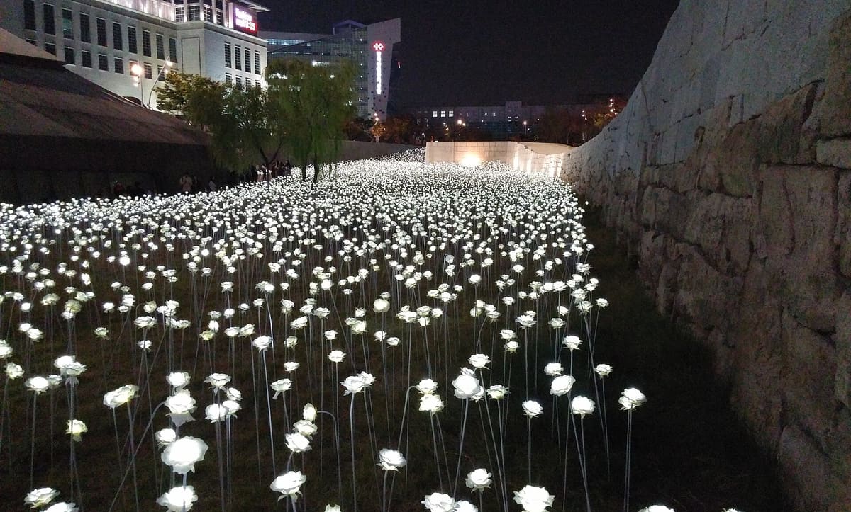 Dongdaemun Design Plaza — Electronic Flowers at Dongdaemun Design Plaza