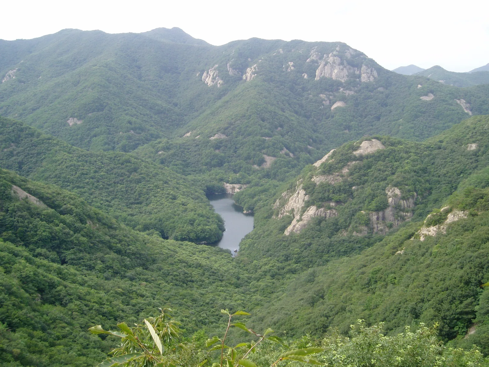 A forested mountain valley and reservoir inside Byeonsanbando National Park