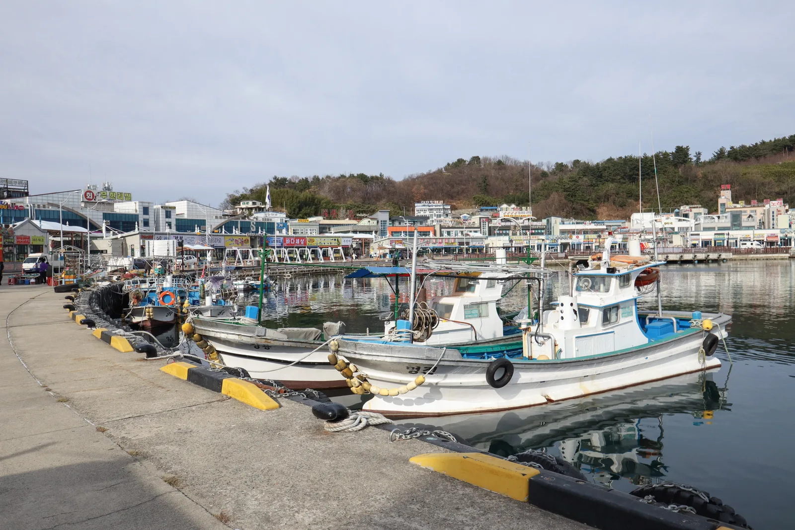 Fishing boats moored along the working waterfront inside Daepo Port, Sokcho