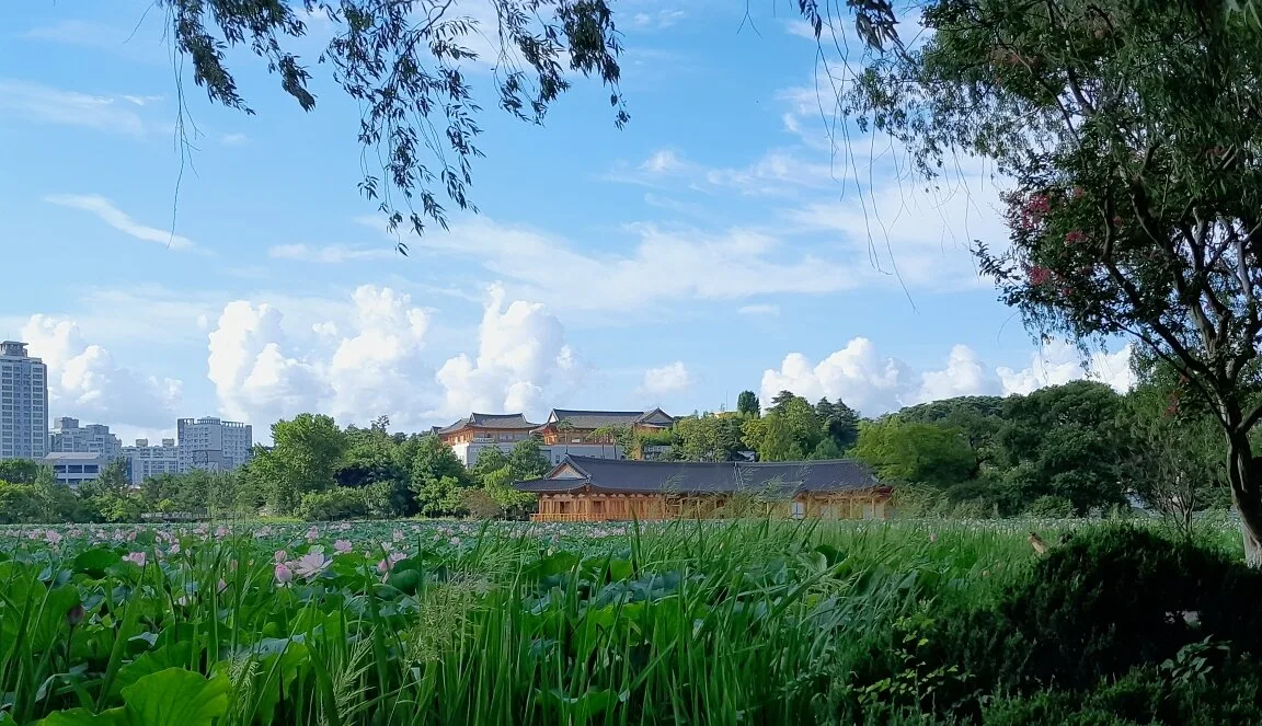 Lotus leaves across Deokjin Park pond with the hanok-style Yeonhwajeong Library beyond