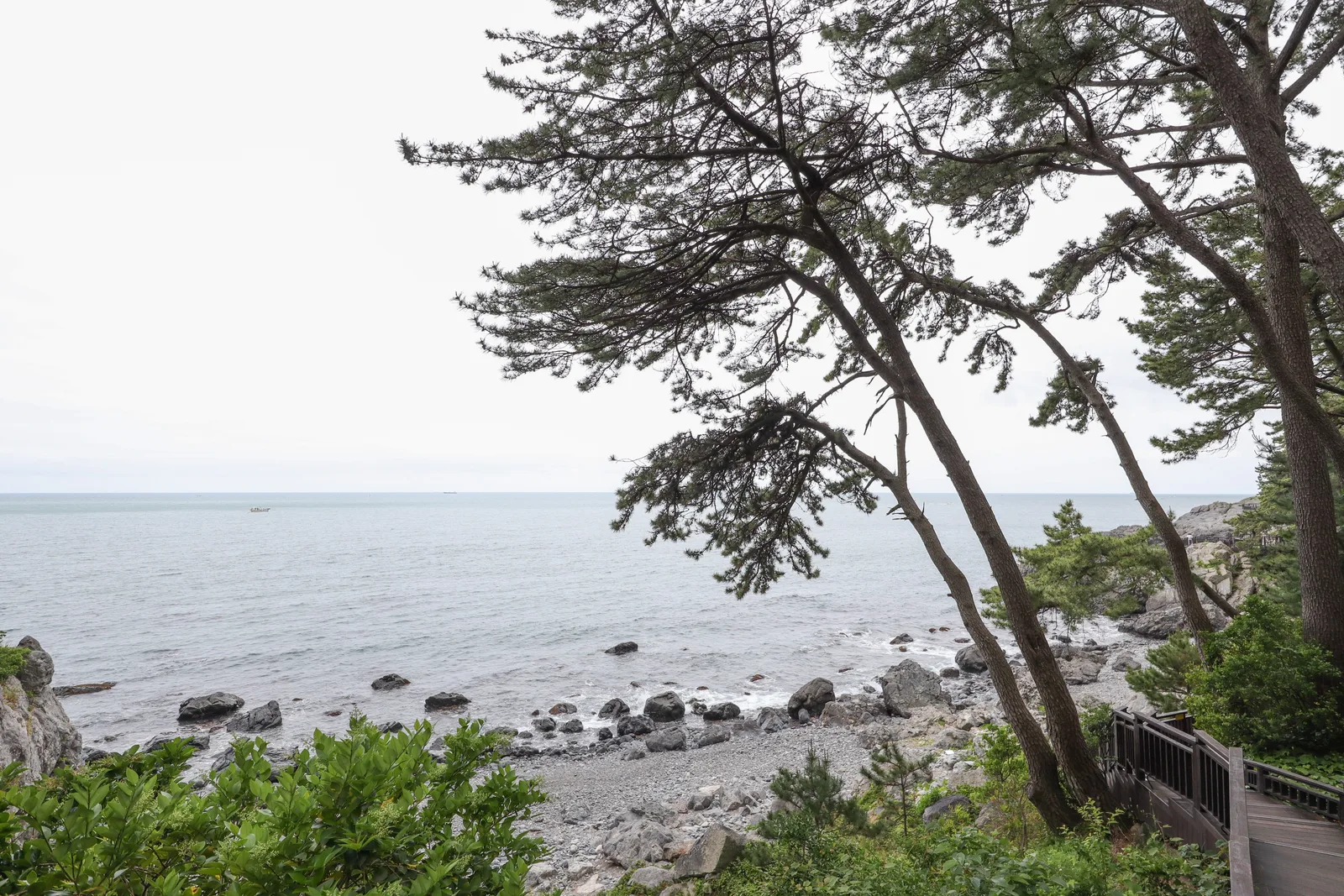 Pine trees, rocky shore, sea and a wooden stair section on the Dongbaekseom coastal trail in Haeundae