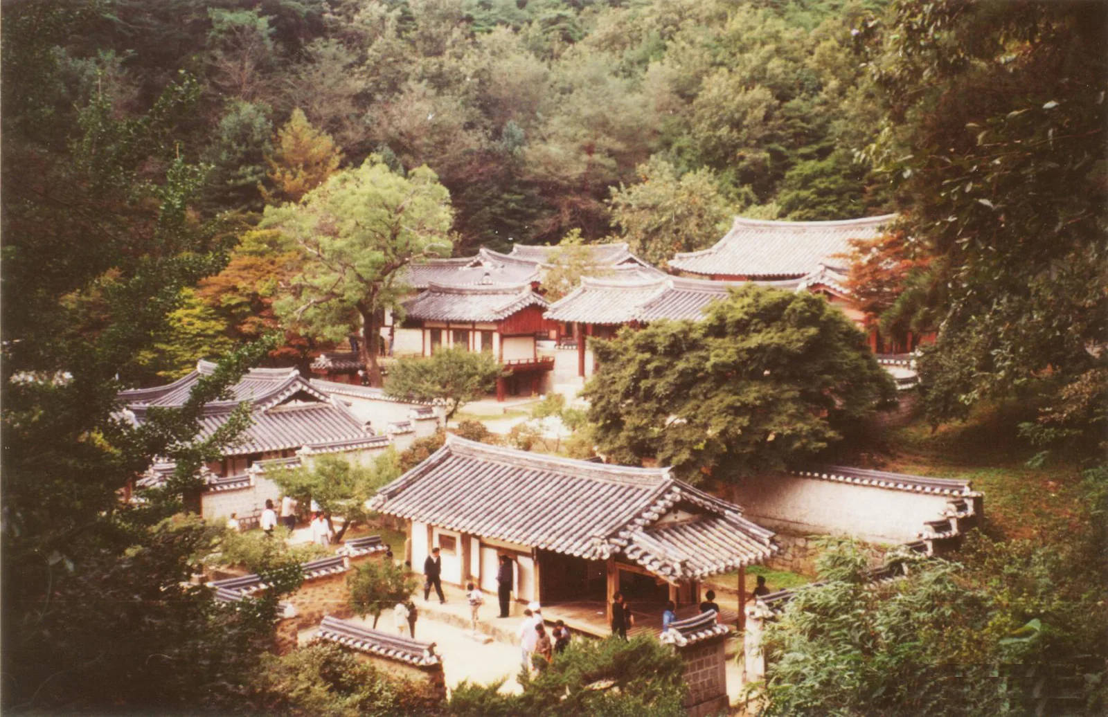 A historic elevated view across the tiled halls, courtyards and wooded setting of Dosan Seowon