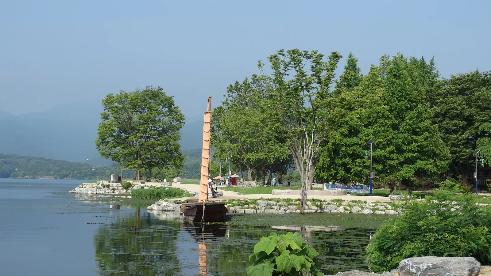 The riverside zelkova, traditional sailboat and calm water at Dumulmeori in Yangpyeong