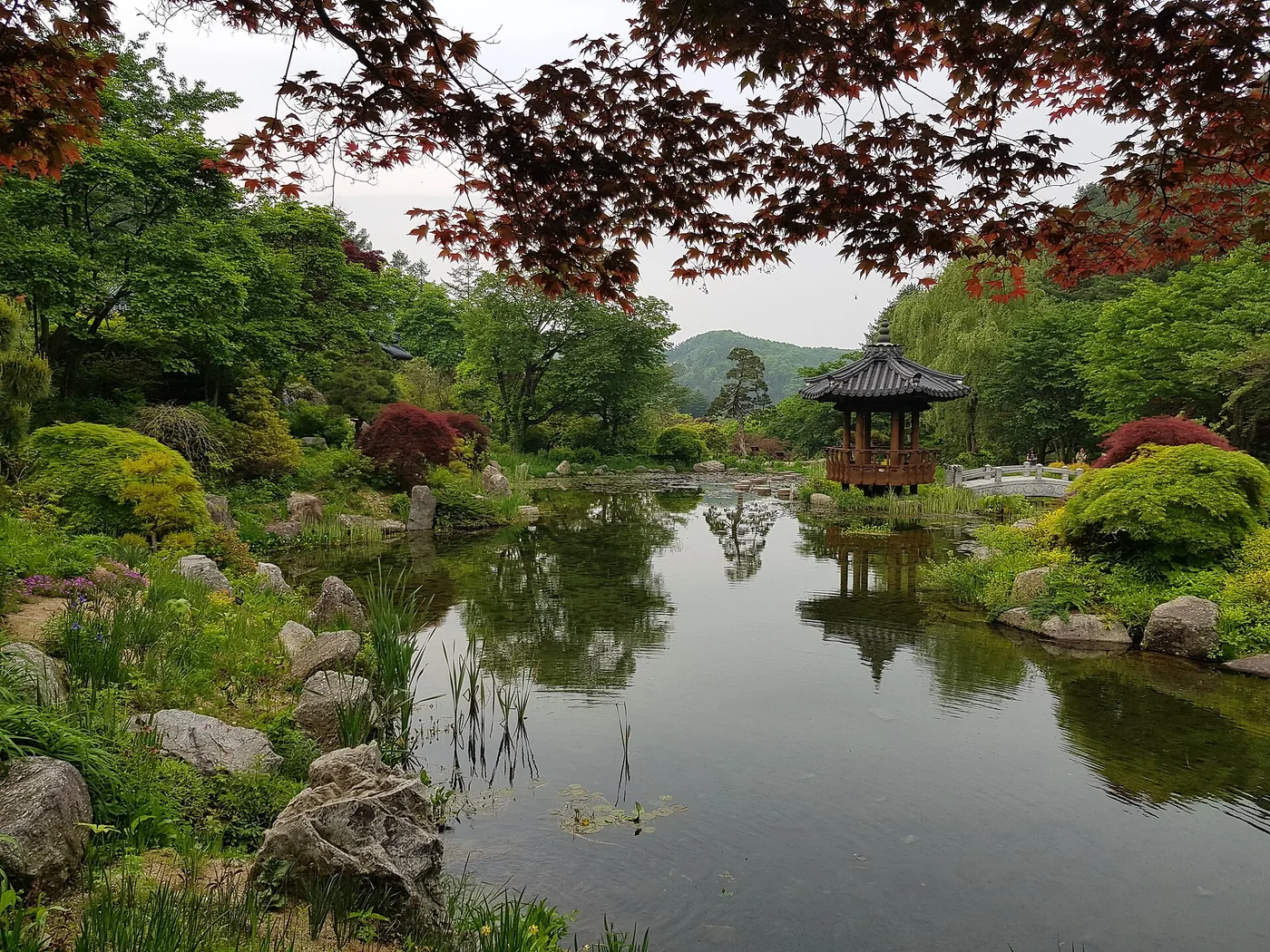 A landscaped pond, pavilion and spring garden inside the Garden of Morning Calm in Gapyeong