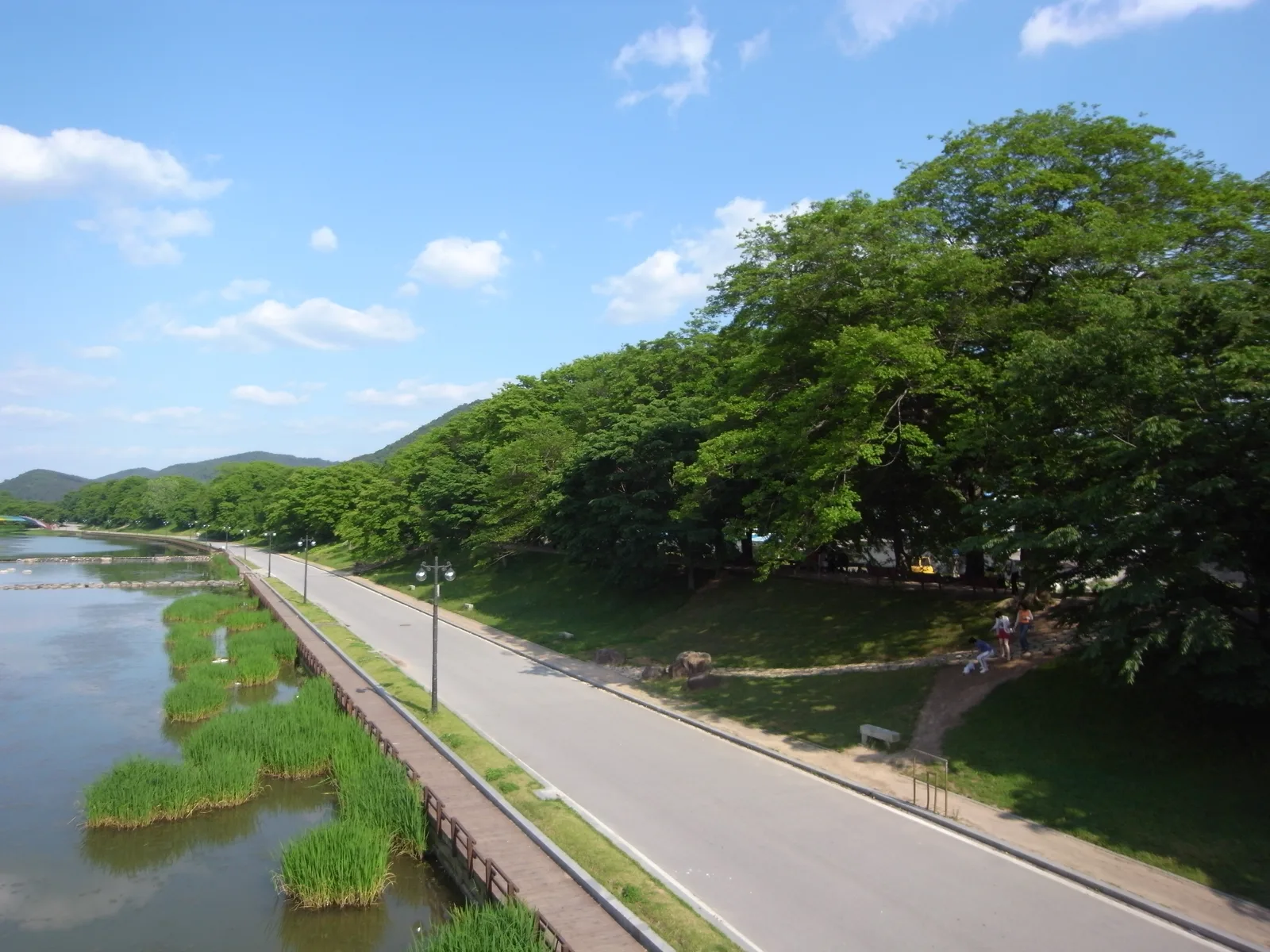 The long protected riverside tree grove and walking path at Gwanbangjerim Forest in Damyang