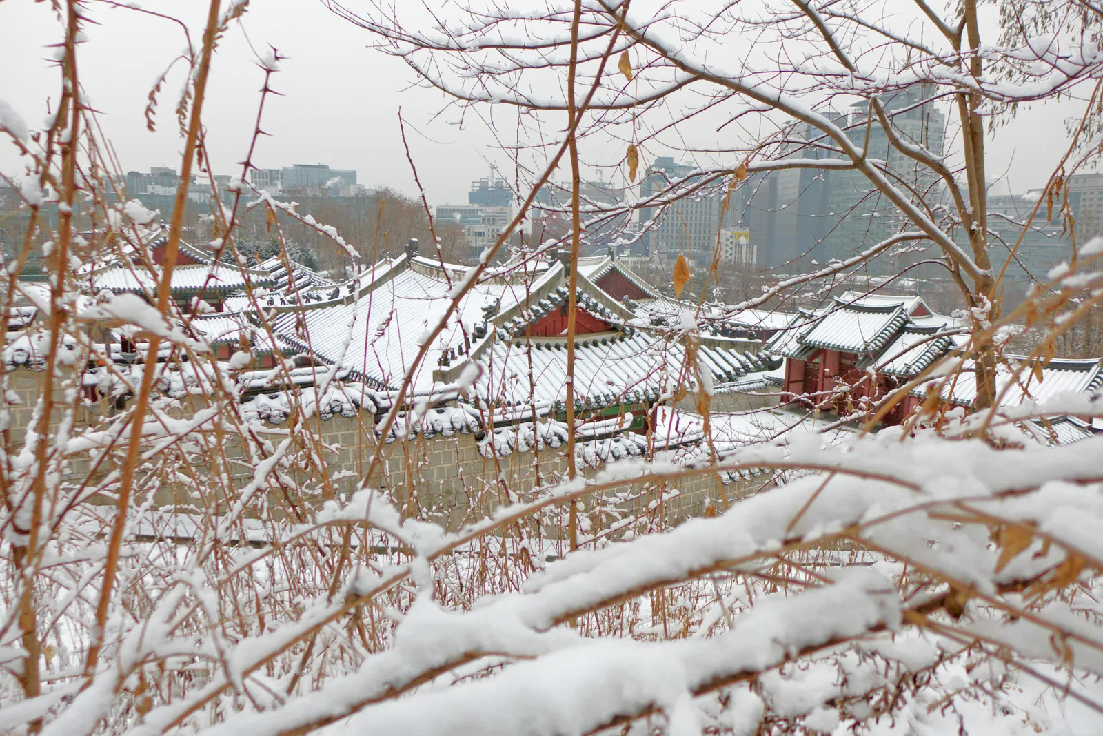 The restored Heunghwamun gate and snow-covered grounds at Gyeonghuigung Palace in Seoul