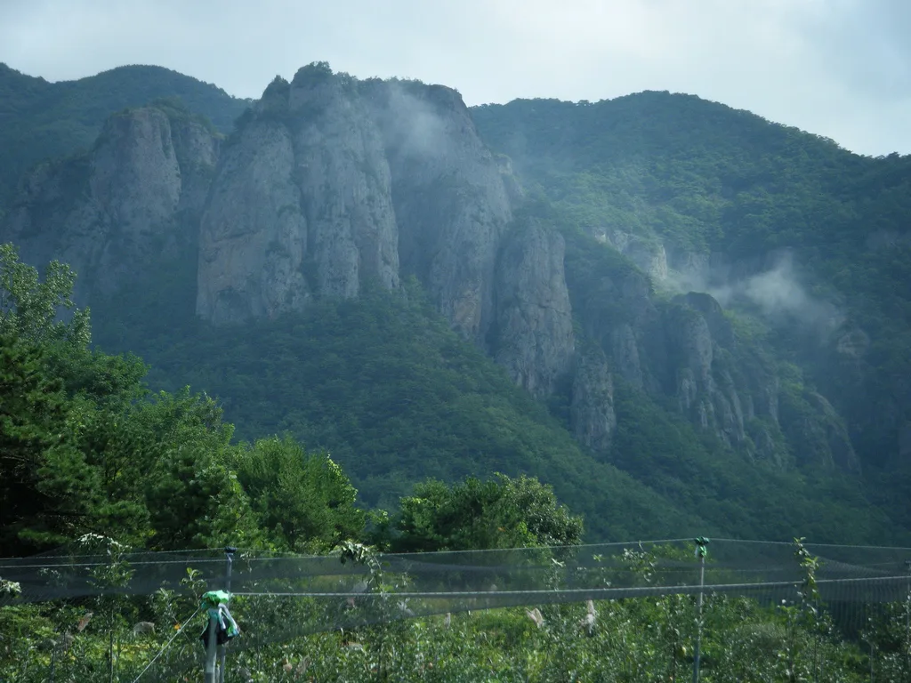 The sheer rocky ridge and misty forest of Juwangsan National Park in Cheongsong