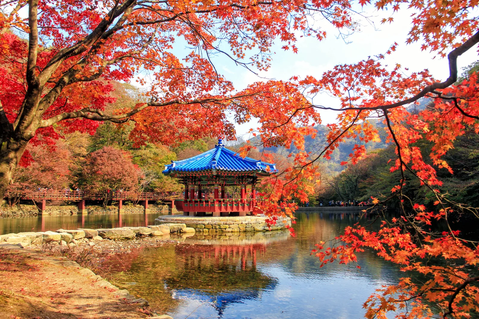 A blue-roofed pavilion surrounded by vivid autumn foliage in Naejangsan National Park