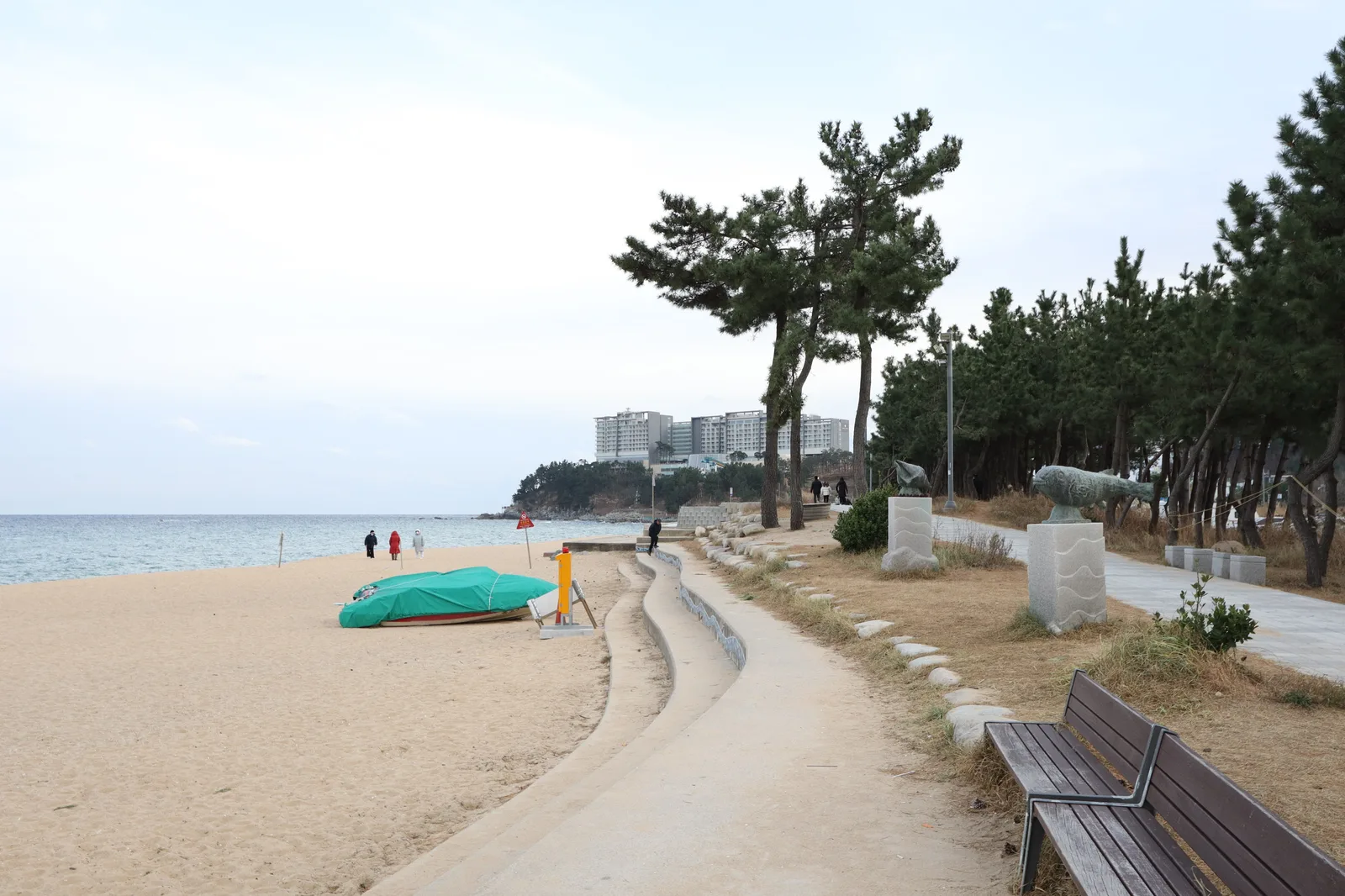 Sokcho Beach's sand, pine-lined promenade and East Sea shoreline