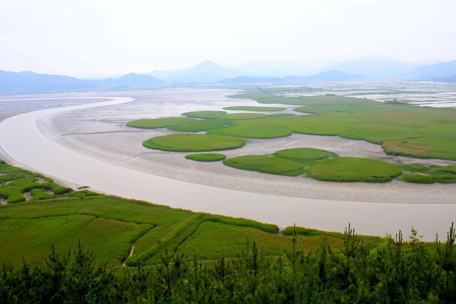 Winding tidal channels, broad reed beds and distant hills across Suncheon Bay Wetland from an elevated viewpoint