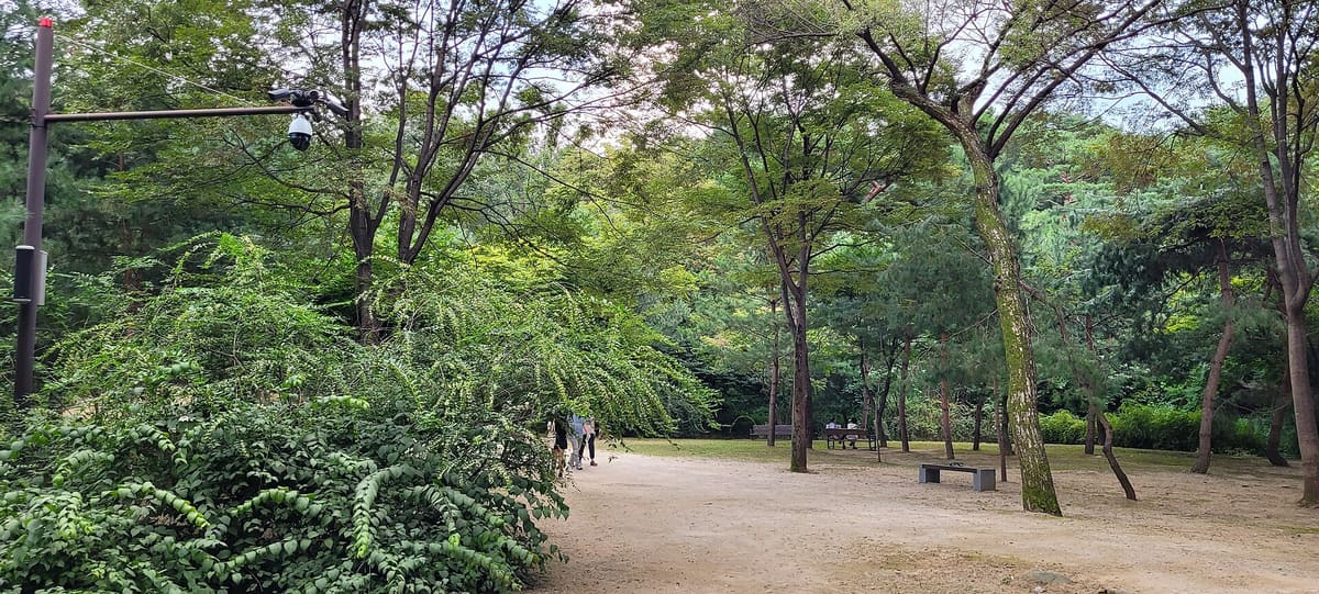 the Seolleung and Jeongneung royal tombs — Seolleung and Jeongneung Royal Tombs 2
