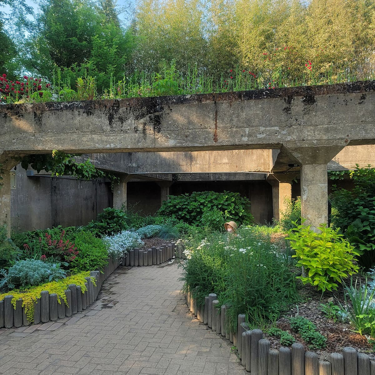 Seoul Forest — Seoul Forest in May 2022