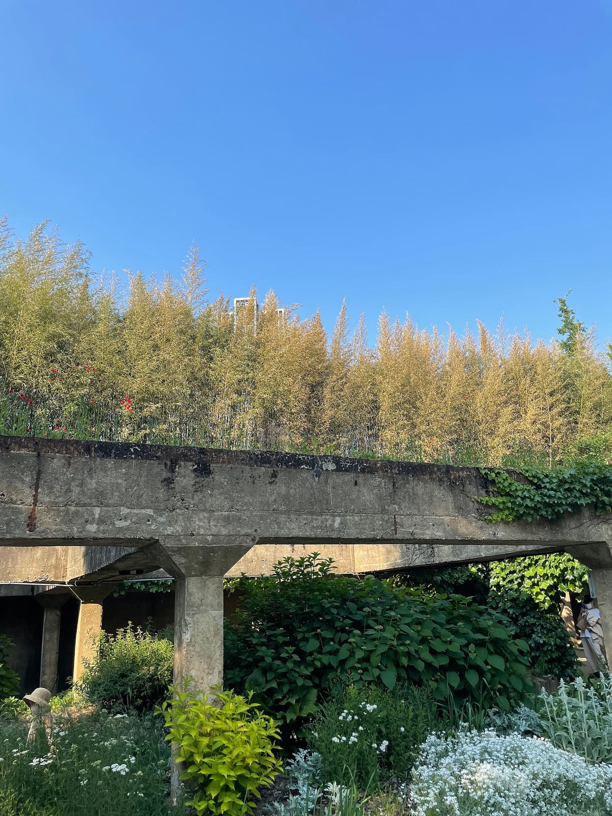 Seoul Forest — Seoul Forest in May 2022
