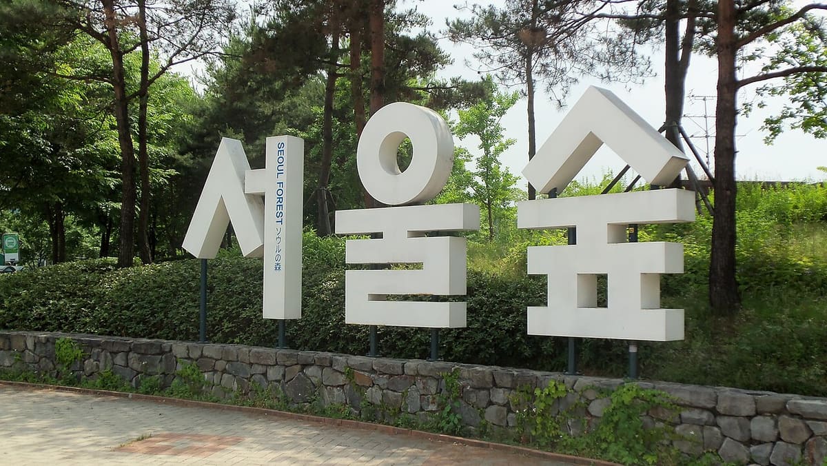 Seoul Forest park in Seongsu in summer