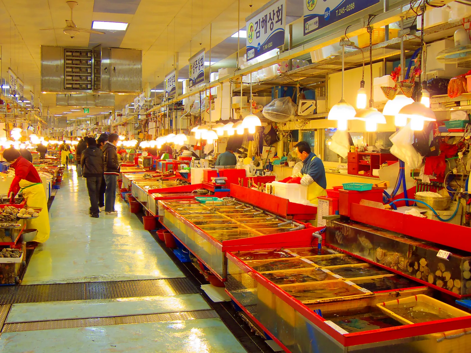 BIFF Square & Jagalchi Market in Busan