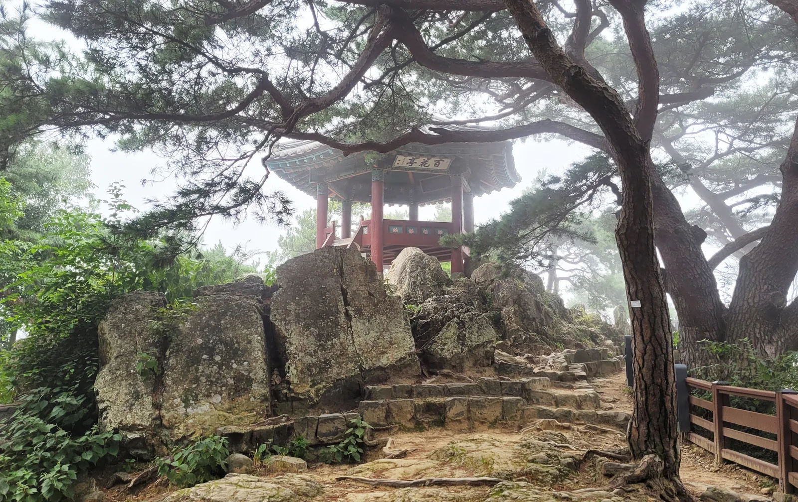 Misty pine branches frame Baekhwajeong pavilion above the rocky stair route inside Busosanseong Fortress in Buyeo