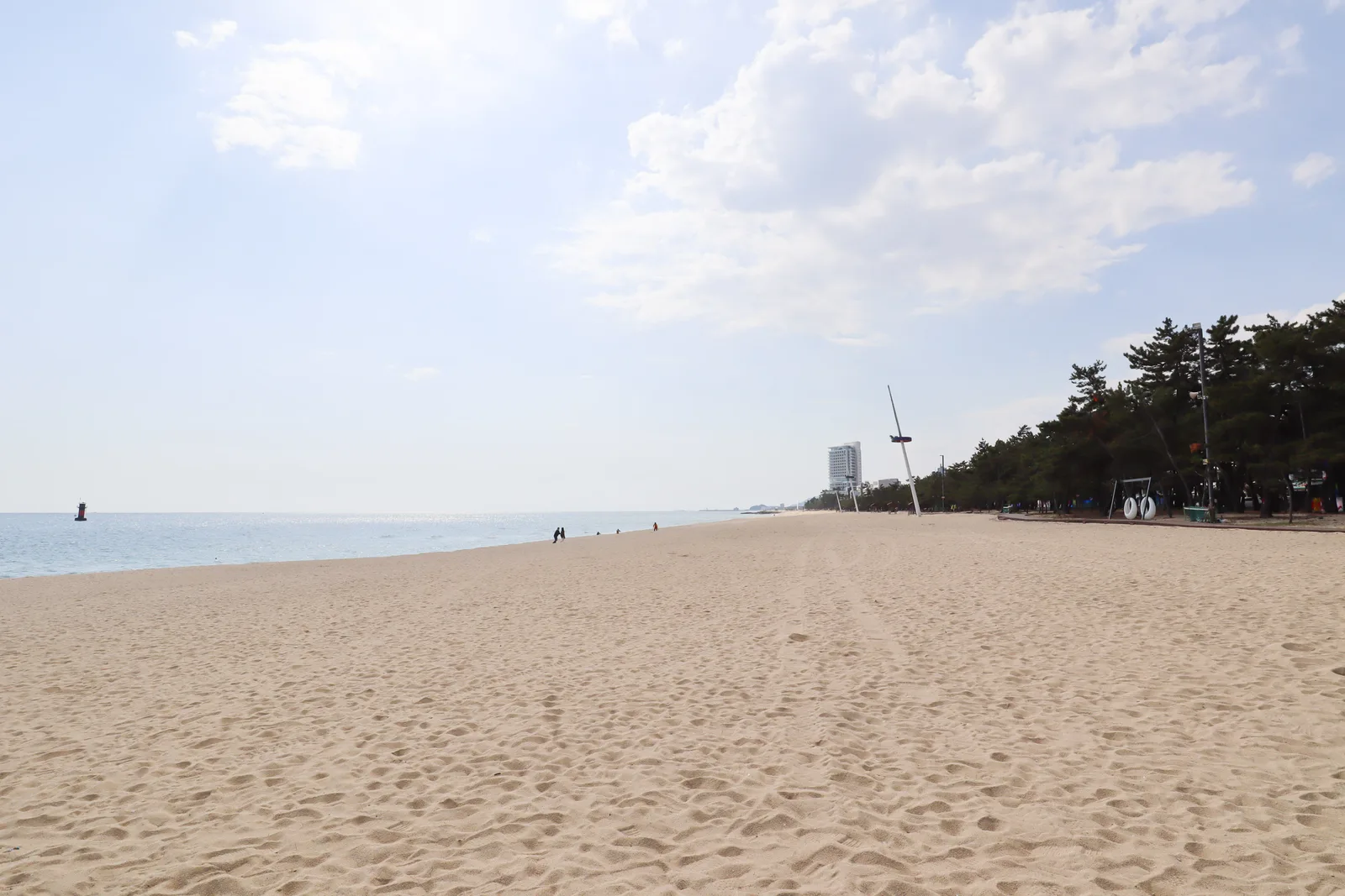 The broad white-sand shore, pine edge and East Sea at Gyeongpo Beach in Gangneung