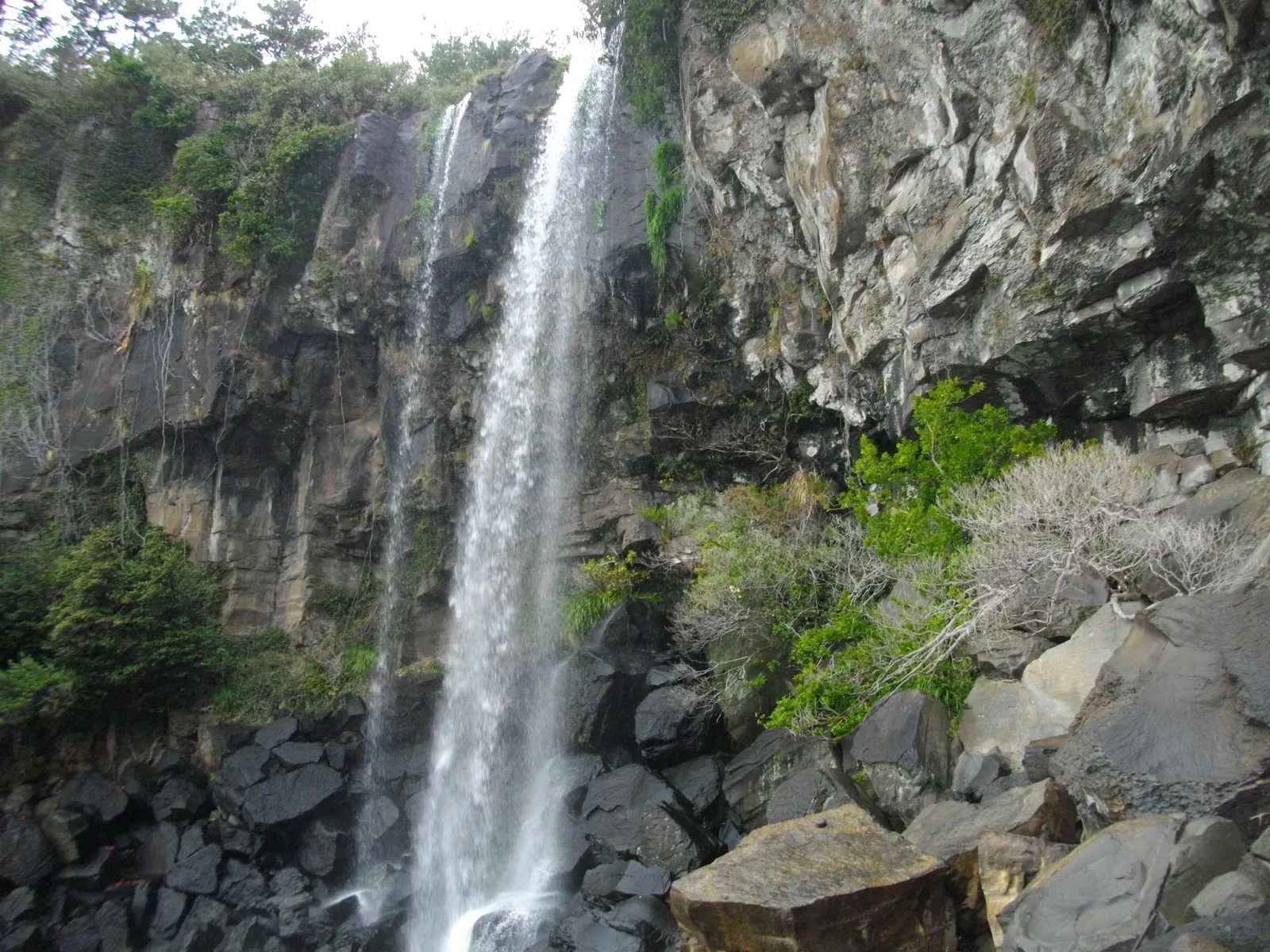 Jeongbang Waterfall dropping over a dark basalt cliff toward the rocky shoreline on Jeju