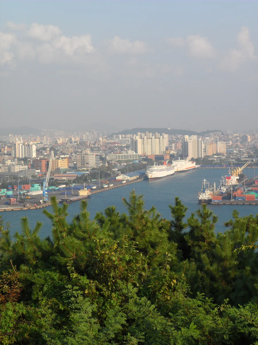 Incheon Port's ferry terminal, harbour and city skyline viewed through pine trees from Wolmi Mountain